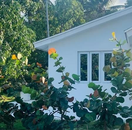 The Cay House Ξενοδοχείο Mangrove Cay Εξωτερικό φωτογραφία