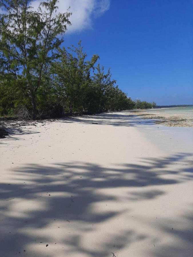 The Cay House Ξενοδοχείο Mangrove Cay Εξωτερικό φωτογραφία